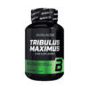 Tribulus Maximus, 90 таблеток, BioTech USA